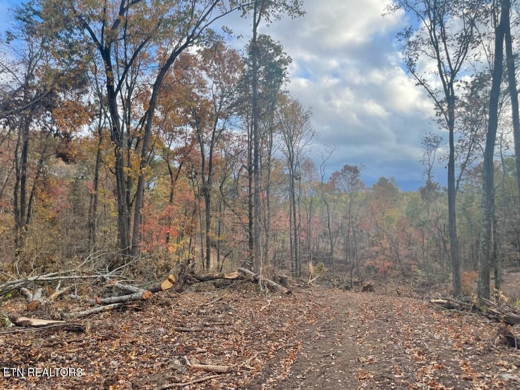 Photo of Cedar Grove Rd, Loudon, TN 37774 (MLS # 1282128)