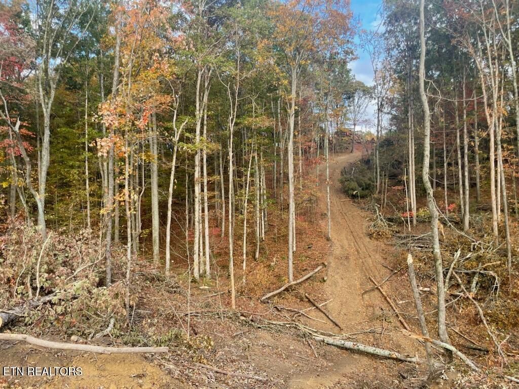 Photo of Cedar Grove Rd, Loudon, TN 37774 (MLS # 1282128)