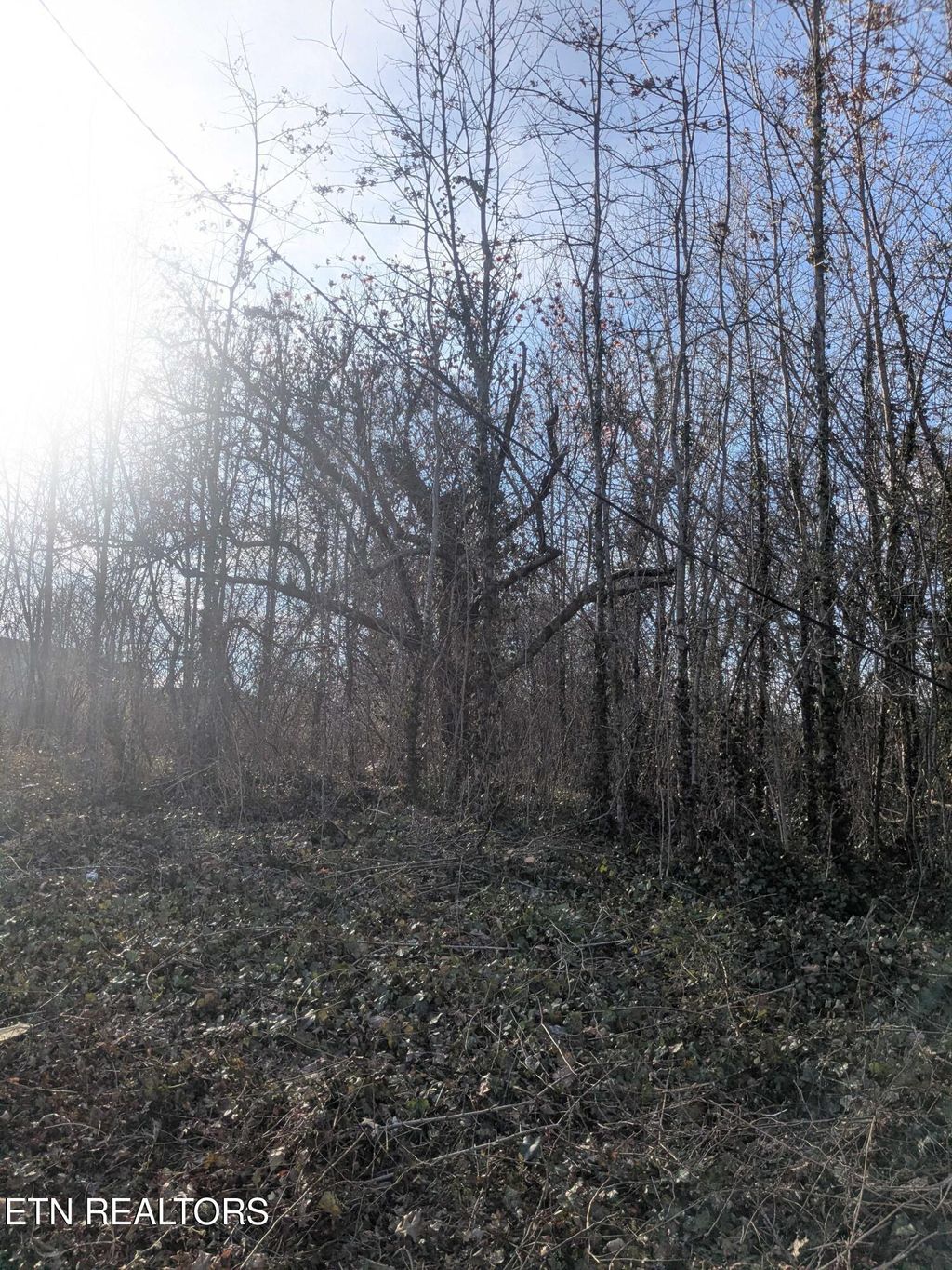 Photo of 1429 Lewis Ave, Knoxville, TN 37920 (MLS # 1331444)