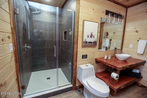 Tiny photo for 433 Ball Mountain Lane, Gatlinburg, TN 37738 (MLS # 1324426)