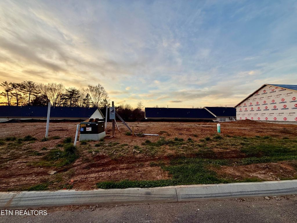 Photo of 3357 Maggie Lynn Way #20, Knoxville, TN 37921 (MLS # 1331671)