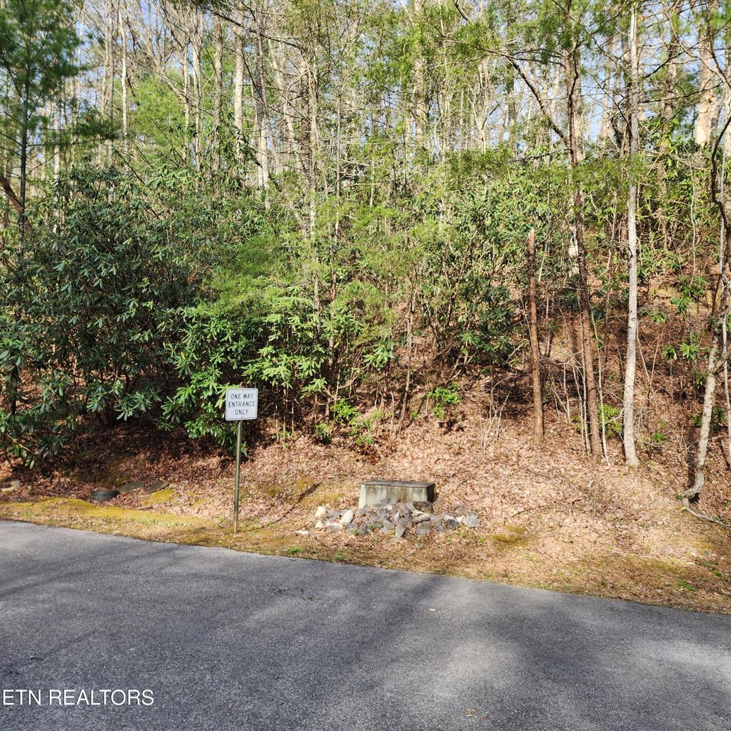 Photo of 116 Stonegate Way, Townsend, TN 37882 (MLS # 1287949)