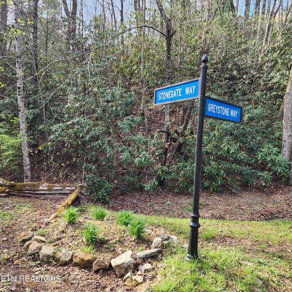 Photo of 116 Stonegate Way, Townsend, TN 37882 (MLS # 1287949)