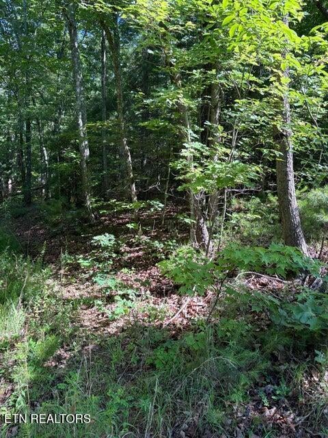 Lot 3 Old Furnace Rd