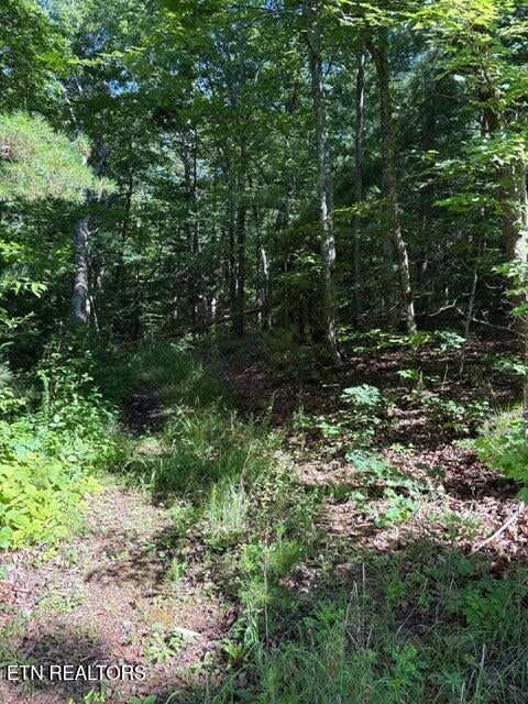 Lot 3 Old Furnace Rd