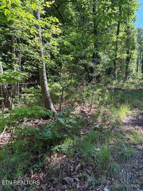 Lot 3 Old Furnace Rd