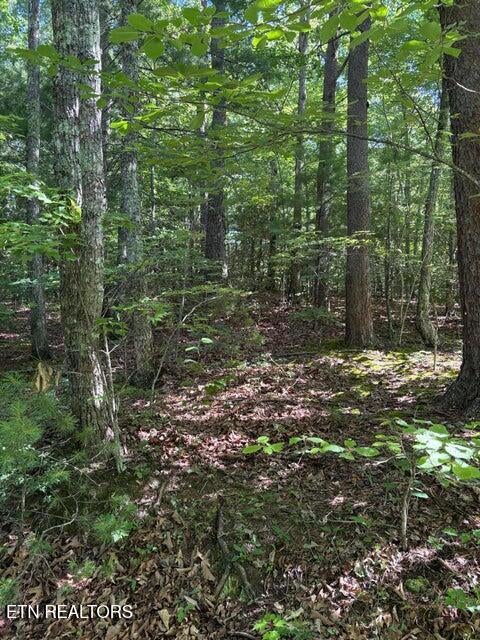 Lot 3 Old Furnace Rd