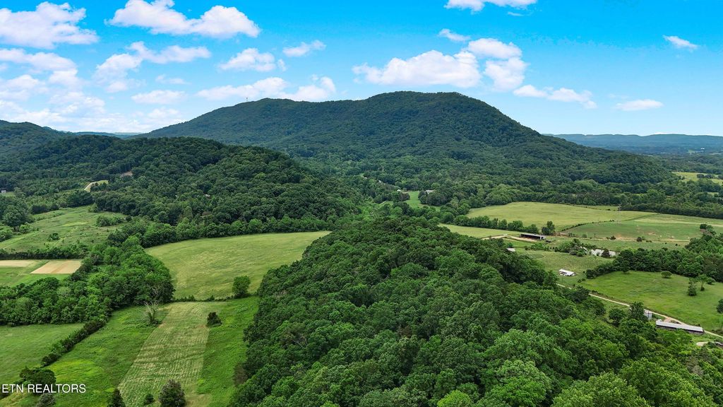 Photo of 4914 Circle Rd, Corryton, TN 37721 (MLS # 1302113)