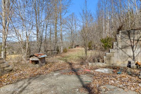 Tiny photo for 1710 Upper Concord Rd, Ten Mile, TN 37880 (MLS # 1330896)