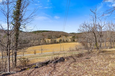 Tiny photo for 1710 Upper Concord Rd, Ten Mile, TN 37880 (MLS # 1330896)