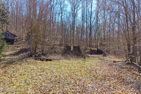 Tiny photo for 1710 Upper Concord Rd, Ten Mile, TN 37880 (MLS # 1330896)