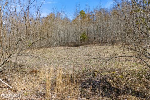 Tiny photo for 1710 Upper Concord Rd, Ten Mile, TN 37880 (MLS # 1330896)