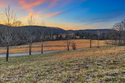 Tiny photo for 1710 Upper Concord Rd, Ten Mile, TN 37880 (MLS # 1330896)