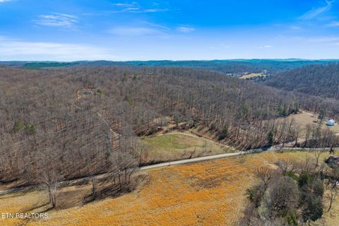 Tiny photo for 1710 Upper Concord Rd, Ten Mile, TN 37880 (MLS # 1330896)