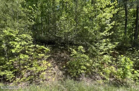 Photo of 81 Yellowwood Drive, Sevierville, TN 37876 (MLS # 1345221)