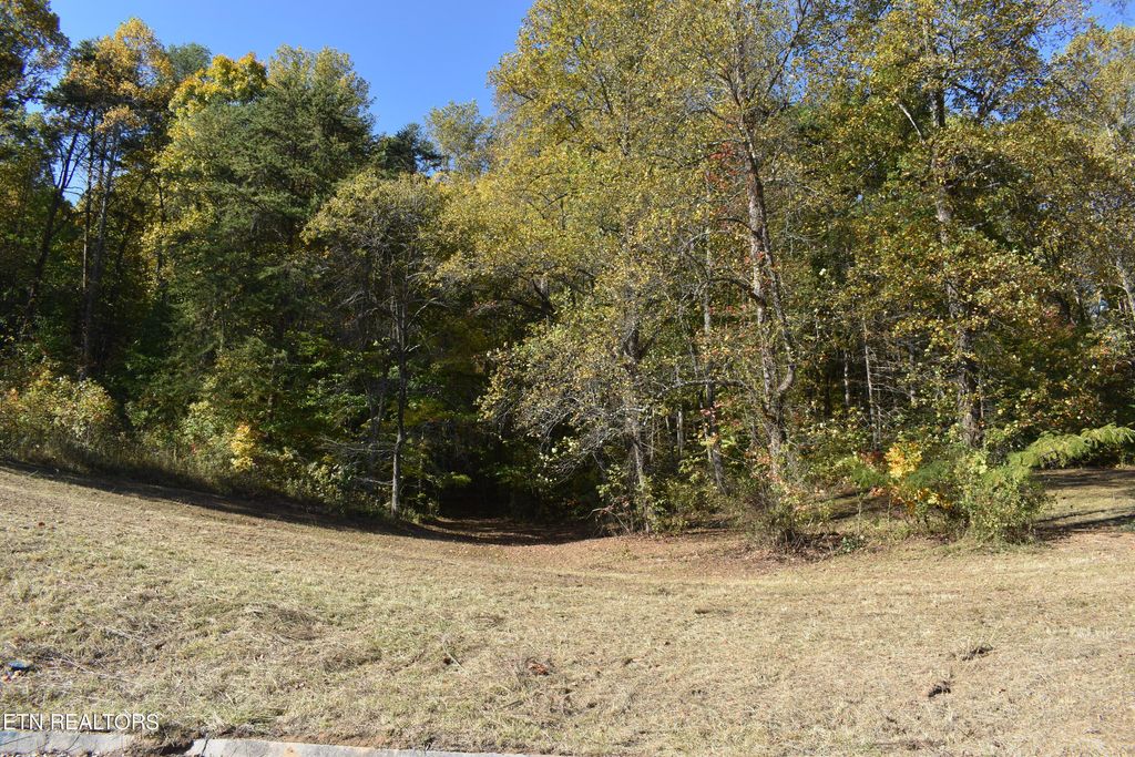 Photo of 6 Briar Ridge Lane, Strawberry Plains, TN 37871 (MLS # 1243634)