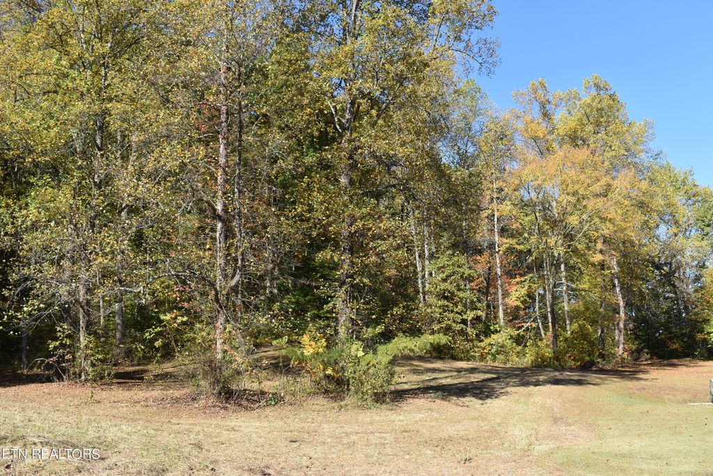 Photo of 6 Briar Ridge Lane, Strawberry Plains, TN 37871 (MLS # 1243634)