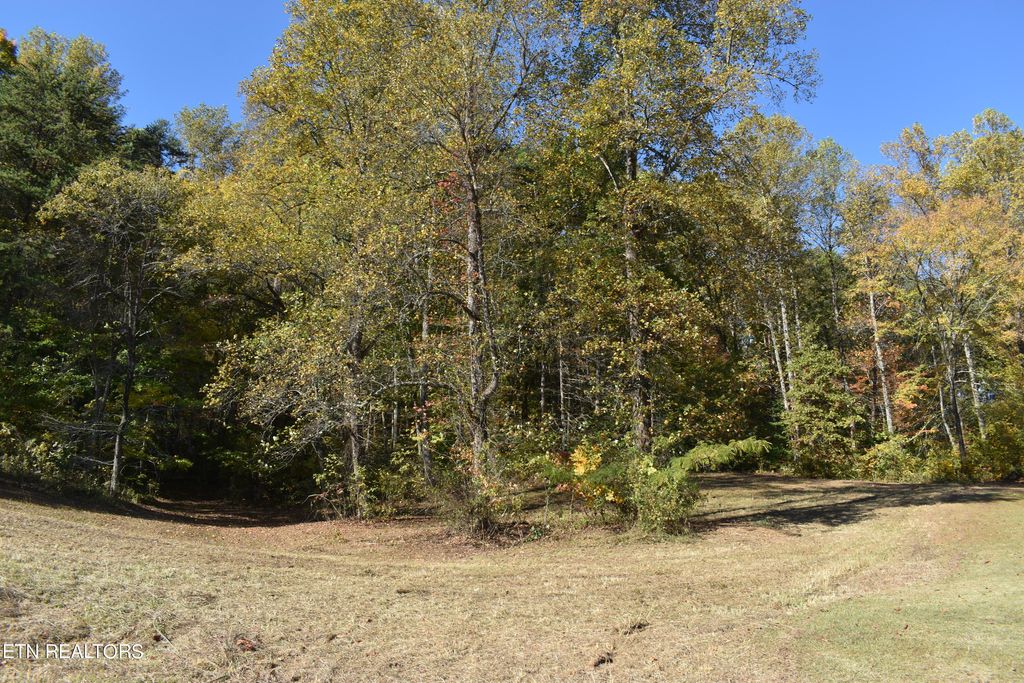 Photo of 6 Briar Ridge Lane, Strawberry Plains, TN 37871 (MLS # 1243634)
