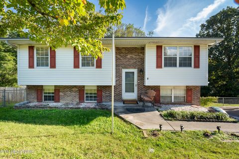 Photo of 610 Red Bud Lane, Oliver Springs, TN 37840 (MLS # 1317543)