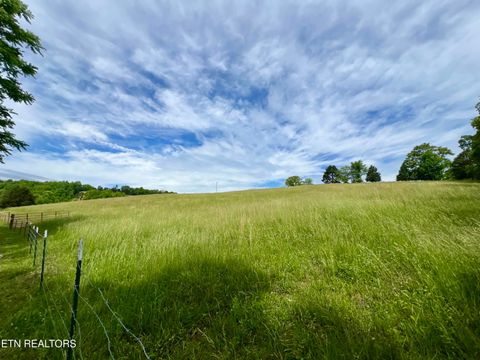 Tiny photo for TBD Giles Lane Lane, Harrogate, TN 37752 (MLS # 1301466)
