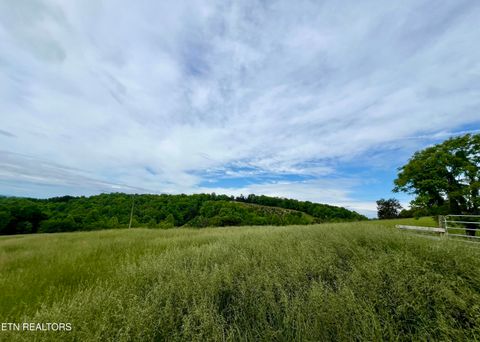 Tiny photo for TBD Giles Lane Lane, Harrogate, TN 37752 (MLS # 1301466)