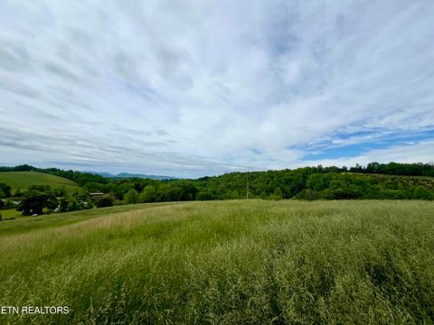Tiny photo for TBD Giles Lane Lane, Harrogate, TN 37752 (MLS # 1301466)
