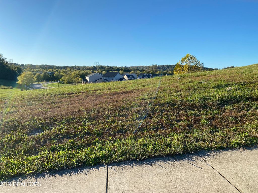 Photo of 81 E Elderberry St, Oak Ridge, TN 37830 (MLS # 1318648)