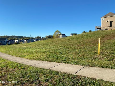 Photo of 81 E Elderberry St, Oak Ridge, TN 37830 (MLS # 1318648)