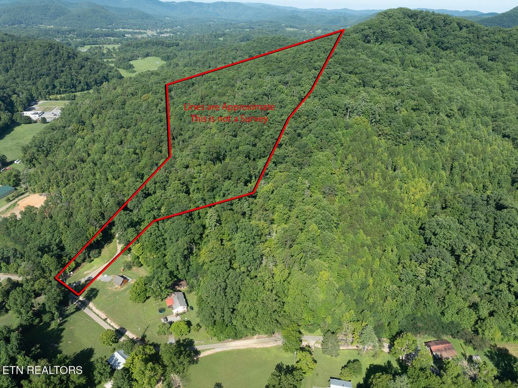 Photo of 828 Hembree Hollow Rd, Townsend, TN 37882 (MLS # 1309053)