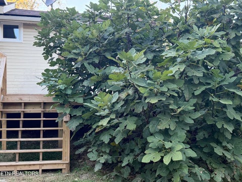 Tiny photo for 188 Church Drive, Lenoir City, TN 37771 (MLS # 1359840)