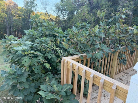 Tiny photo for 188 Church Drive, Lenoir City, TN 37771 (MLS # 1359840)