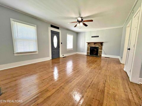 Tiny photo for 302 W Farrell St, Niota, TN 37826 (MLS # 1316976)
