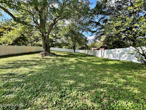 Tiny photo for 302 W Farrell St, Niota, TN 37826 (MLS # 1316976)