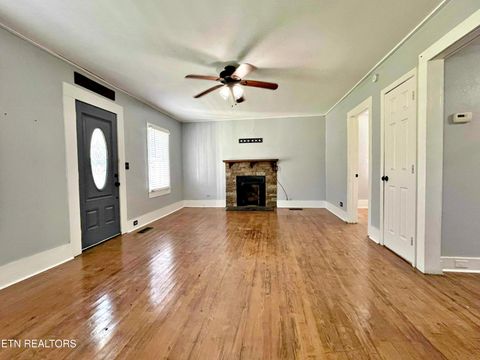Tiny photo for 302 W Farrell St, Niota, TN 37826 (MLS # 1316976)