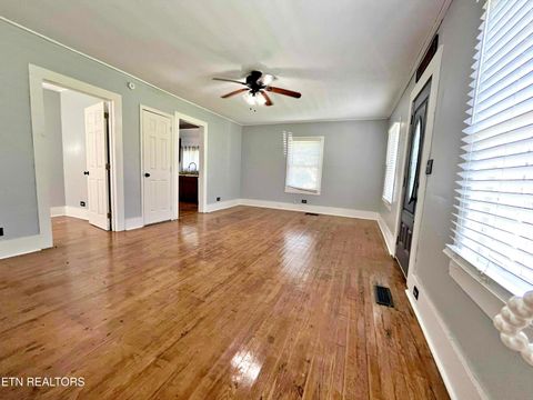 Tiny photo for 302 W Farrell St, Niota, TN 37826 (MLS # 1316976)