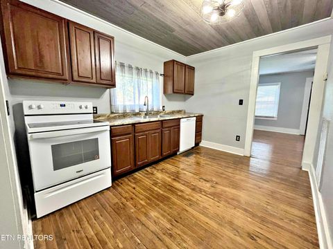Tiny photo for 302 W Farrell St, Niota, TN 37826 (MLS # 1316976)