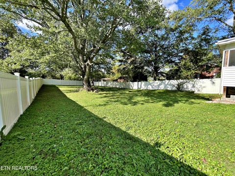 Tiny photo for 302 W Farrell St, Niota, TN 37826 (MLS # 1316976)