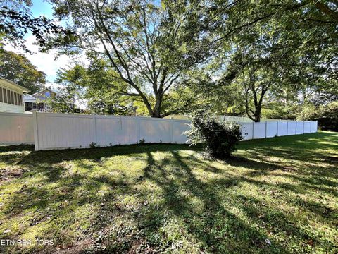 Tiny photo for 302 W Farrell St, Niota, TN 37826 (MLS # 1316976)