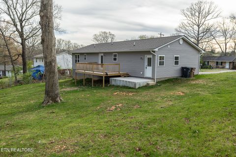 Tiny photo for 2318 Black Bear Rd, Knoxville, TN 37923 (MLS # 1334574)