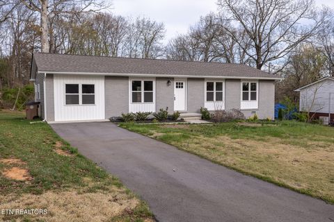 Photo of 2318 Black Bear Rd, Knoxville, TN 37923 (MLS # 1334574)