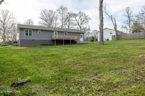 Tiny photo for 2318 Black Bear Rd, Knoxville, TN 37923 (MLS # 1334574)