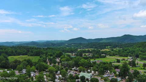 Tiny photo for 124 Davis Rd, Townsend, TN 37882 (MLS # 1347047)