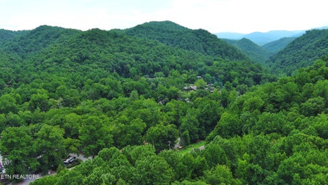 Tiny photo for 124 Davis Rd, Townsend, TN 37882 (MLS # 1347047)