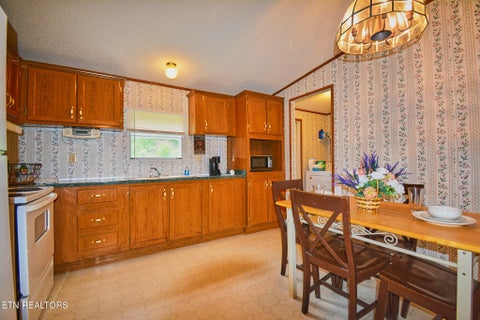 Tiny photo for 124 Davis Rd, Townsend, TN 37882 (MLS # 1347047)