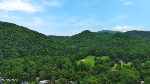 Tiny photo for 124 Davis Rd, Townsend, TN 37882 (MLS # 1347047)