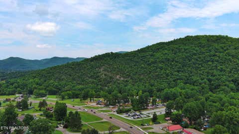 Tiny photo for 124 Davis Rd, Townsend, TN 37882 (MLS # 1347047)