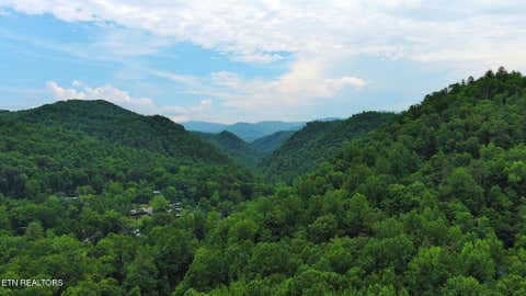 Tiny photo for 124 Davis Rd, Townsend, TN 37882 (MLS # 1347047)