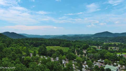 Tiny photo for 124 Davis Rd, Townsend, TN 37882 (MLS # 1347047)