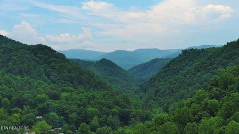 Tiny photo for 124 Davis Rd, Townsend, TN 37882 (MLS # 1347047)