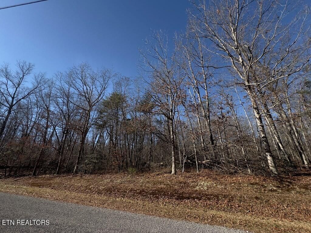 Photo of 0 Anne Rd, Monterey, TN 38574 (MLS # 1324707)
